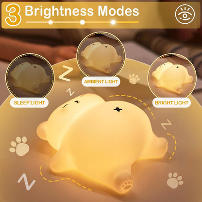 Snoring Bear